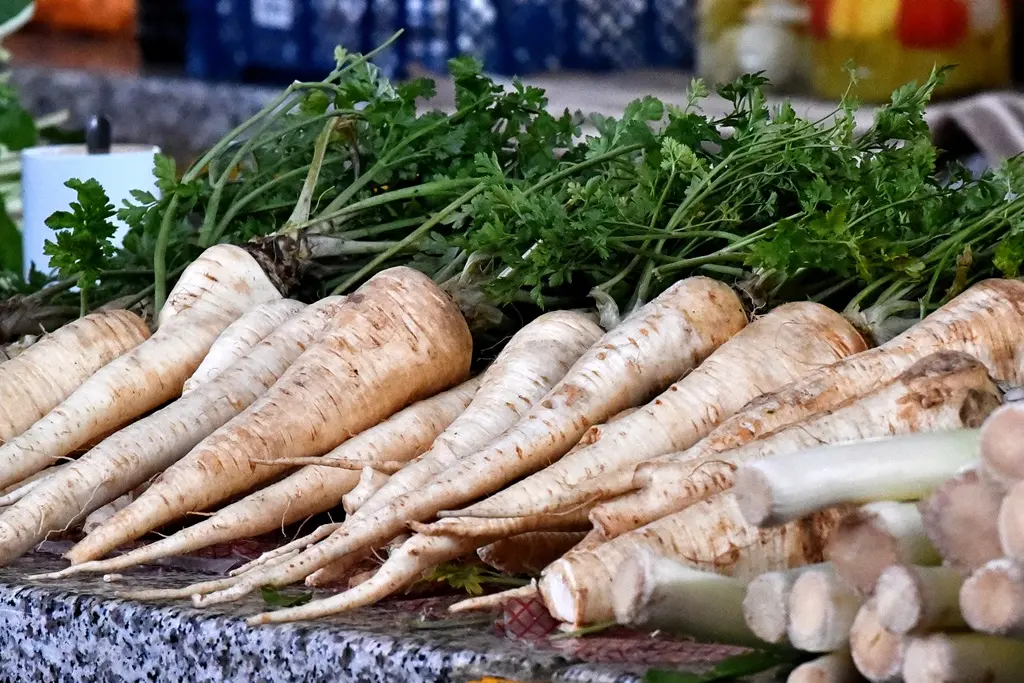 Varaždinski plac (14)