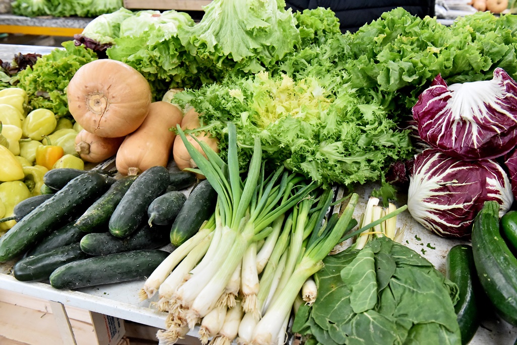 Varaždinski plac (14)