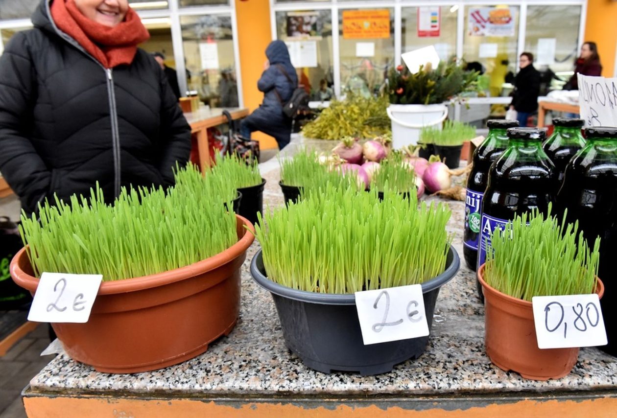 Varaždinski plac 20.12 (18)