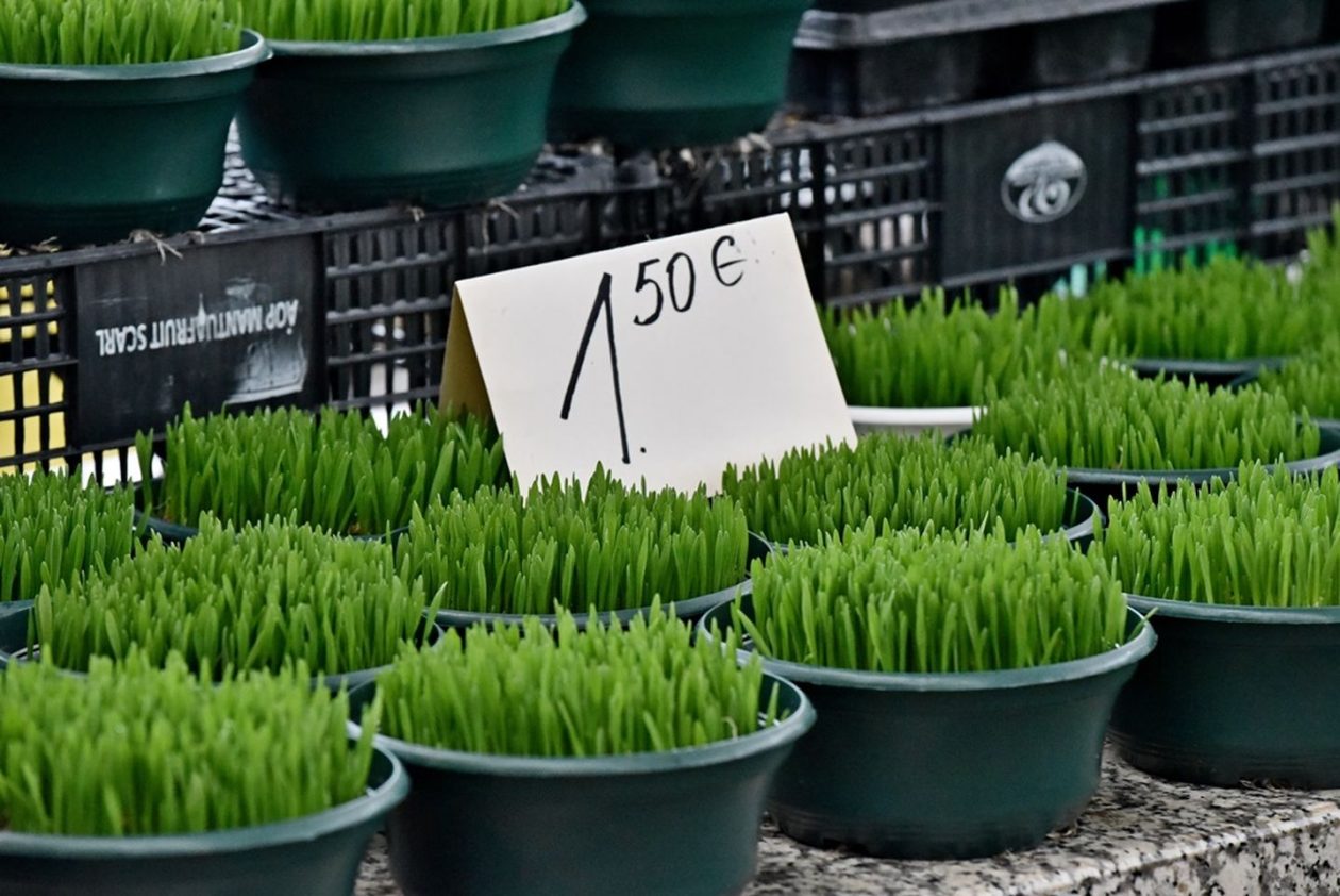 Varaždinski plac 20.12 (6)