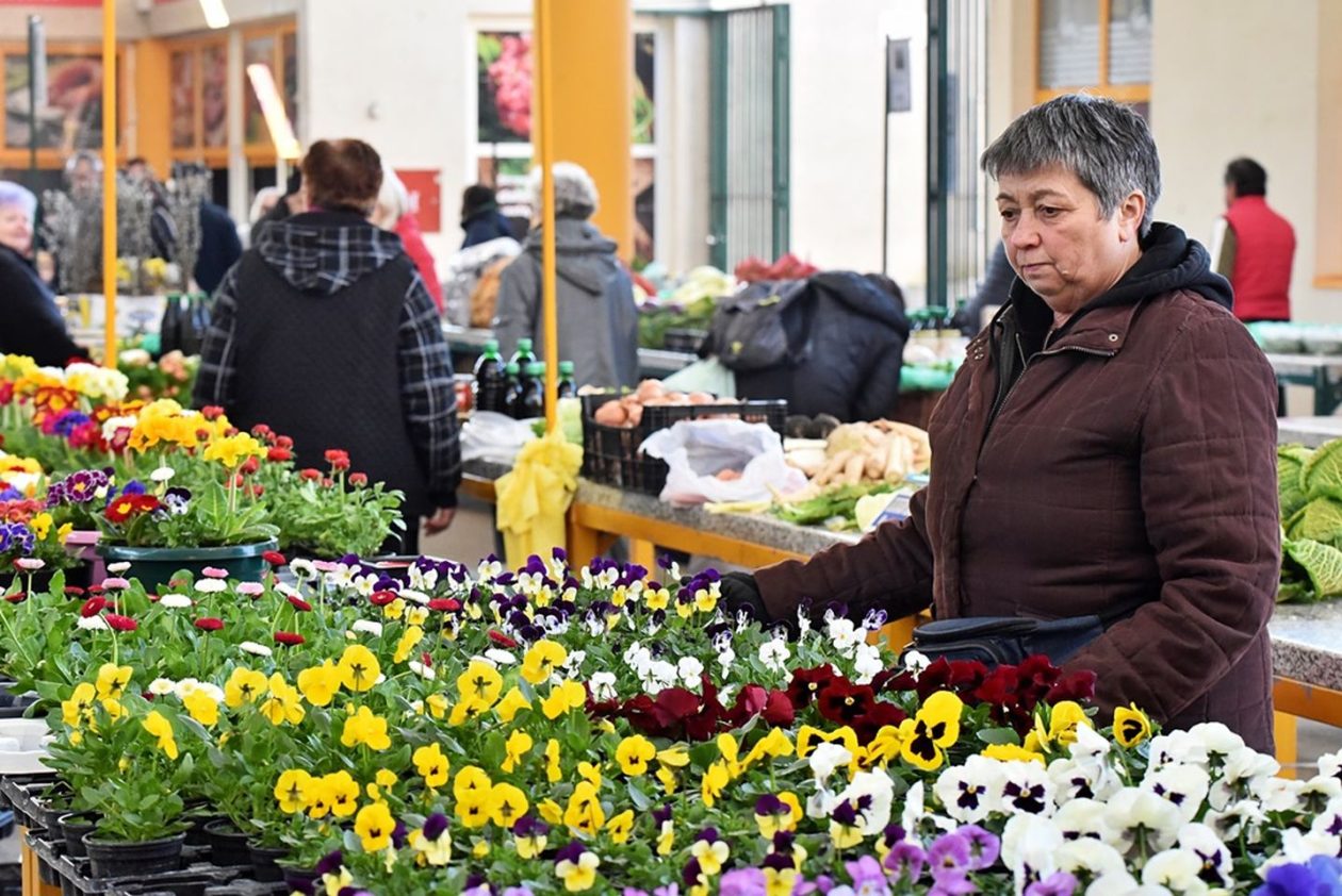 Varaždinski plac 2026 (8)