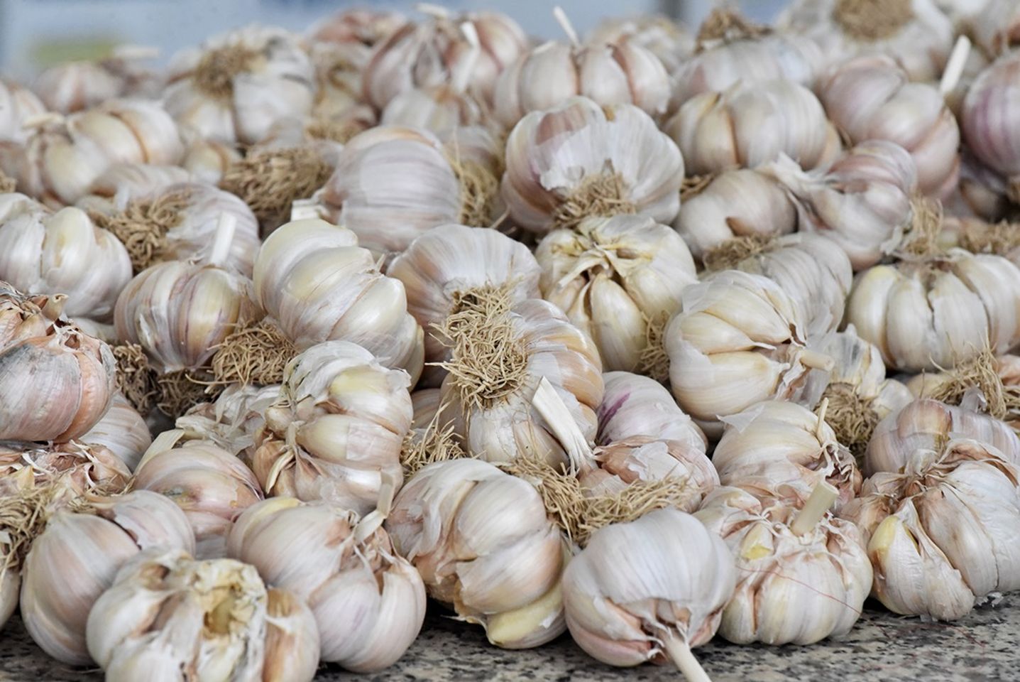 Varaždinski plac 22.11 (11)