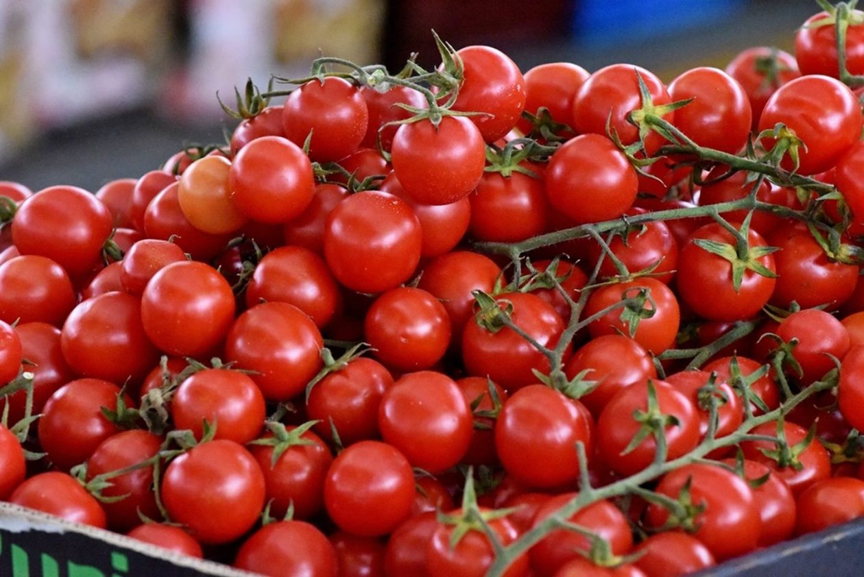 Varaždinski plac 22.11 (12)