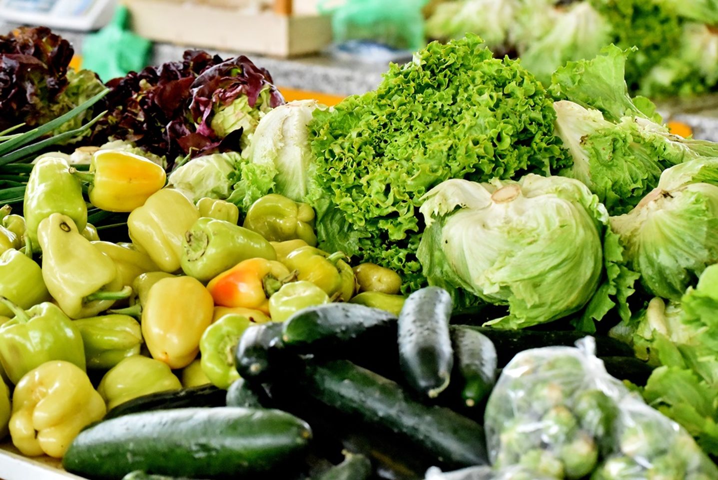 Varaždinski plac 22.11 (8)