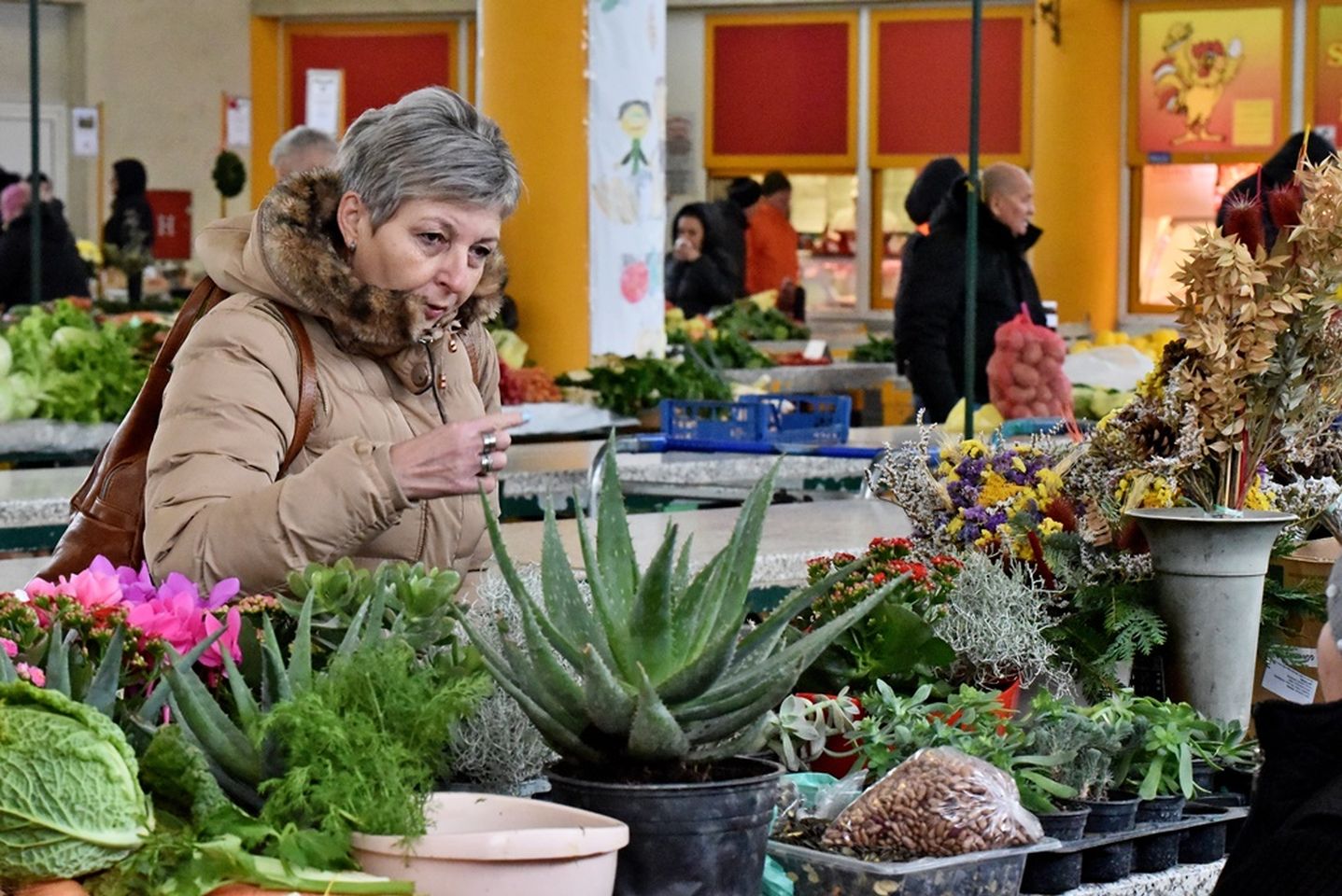 Varaždinski plac 22.11 (9)