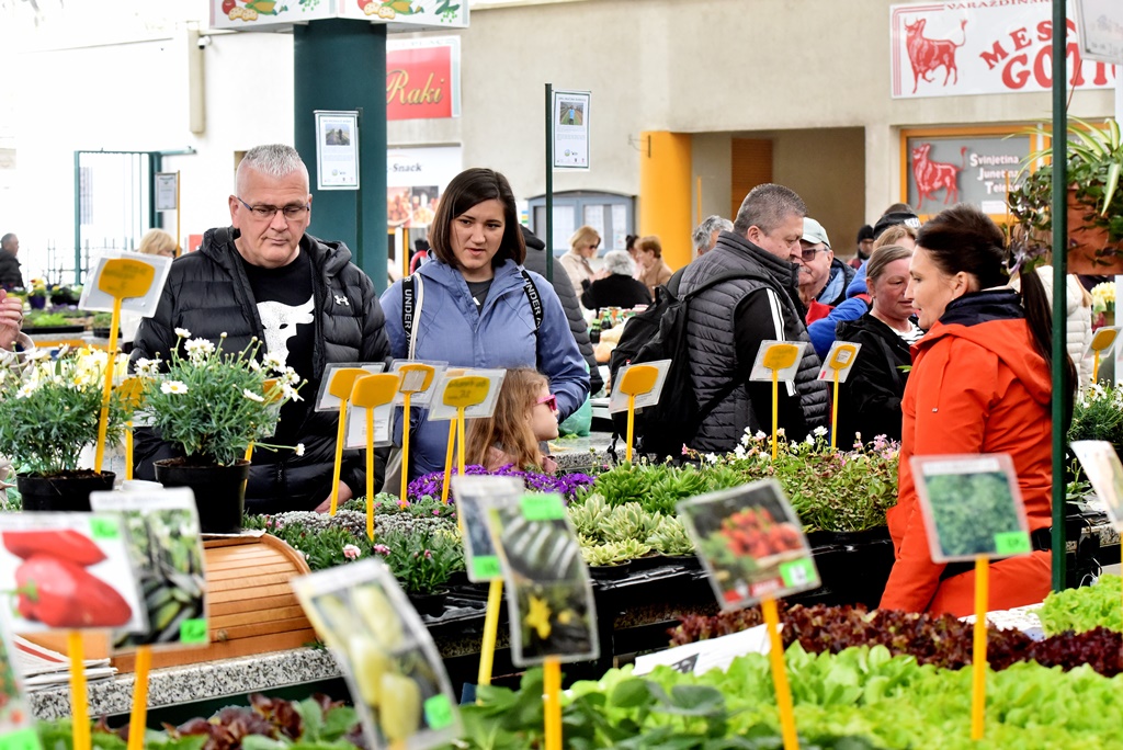 Varaždinski plac (6) Varaždinski plac (6)