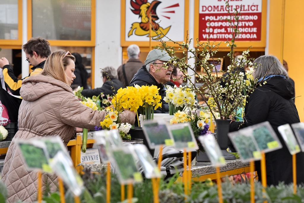 Varaždinski plac (8) Varaždinski plac (8)