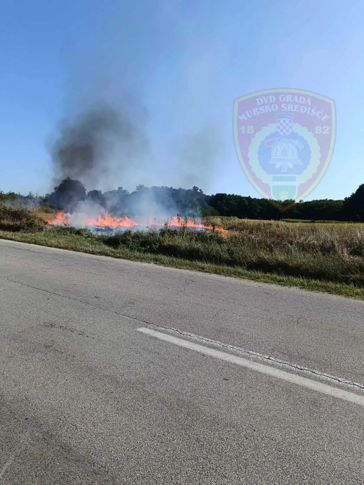 Vatrogasci Murskog Središća gase požar u polju (6)
