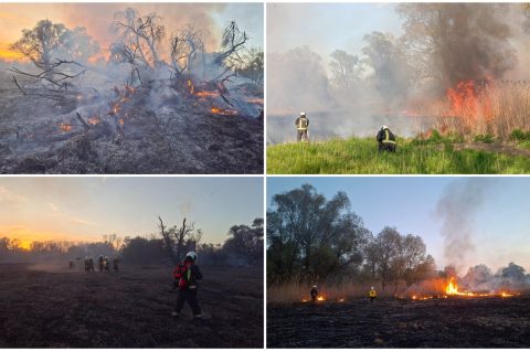 Vatrogasci Murskog Središća požar 2026 (9) Vatrogasci Murskog Središća požar 2026 (9)