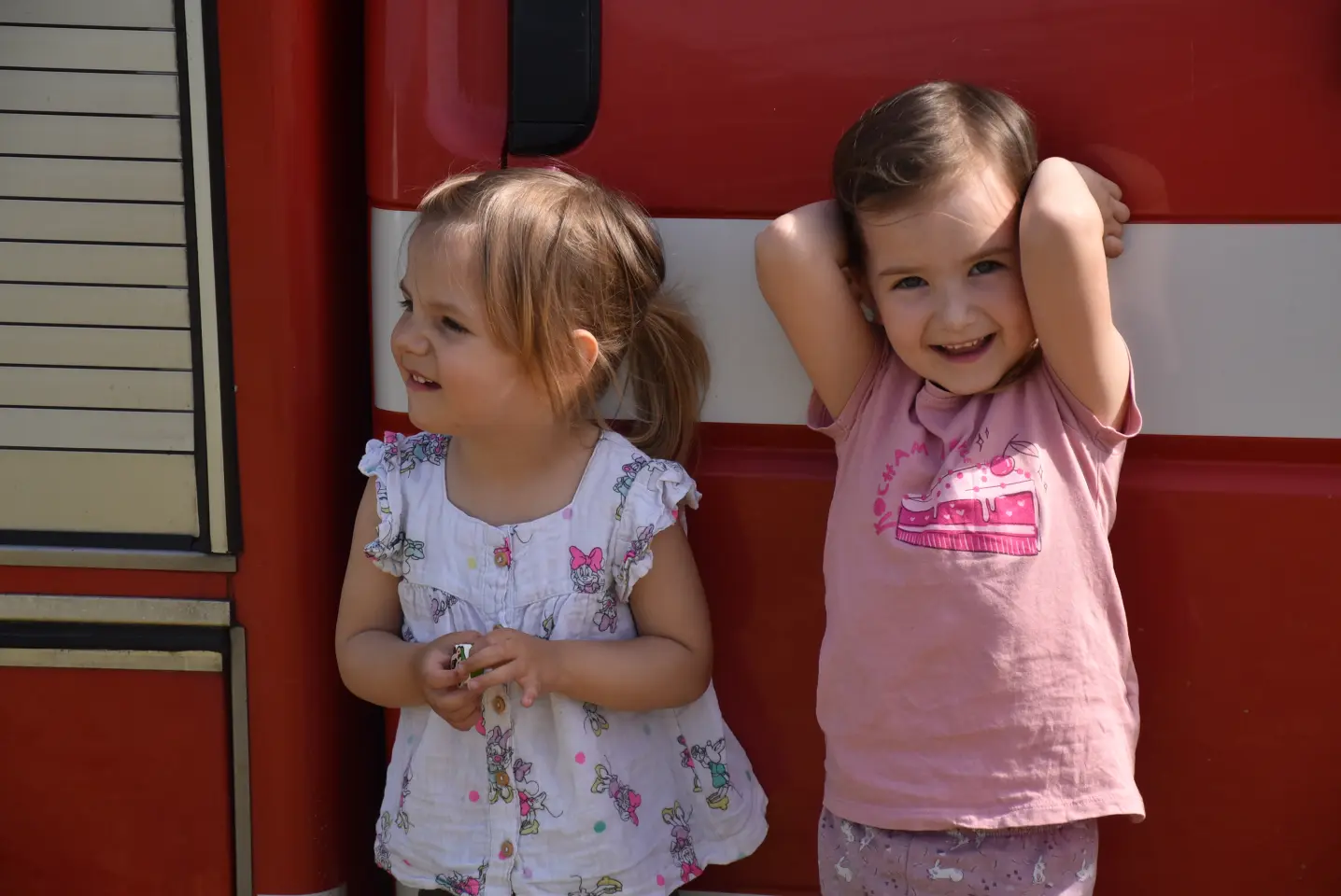 Vatrogasni piknik Brezje (2)