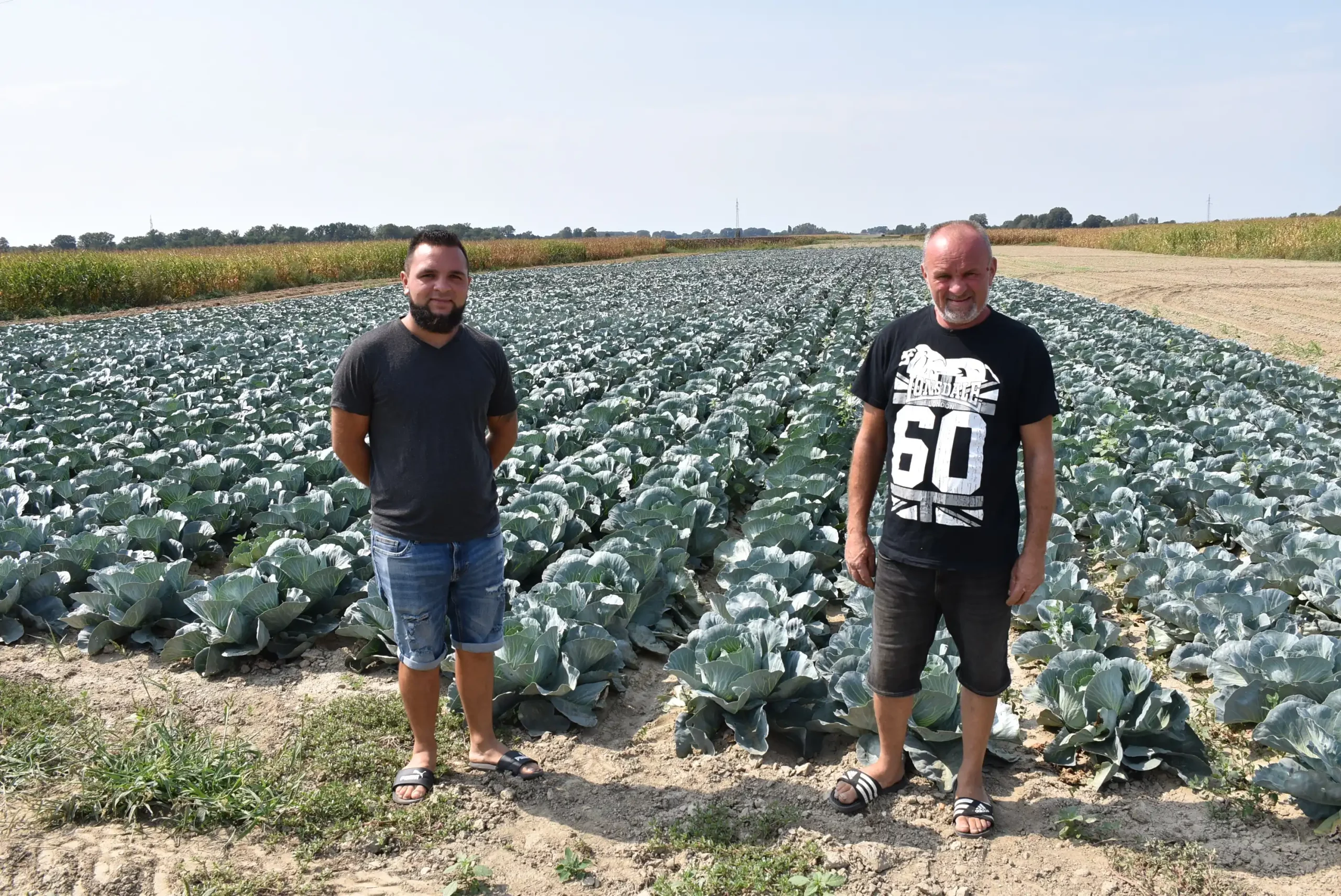 Velibor Balog (1) Velibor Balog (1)