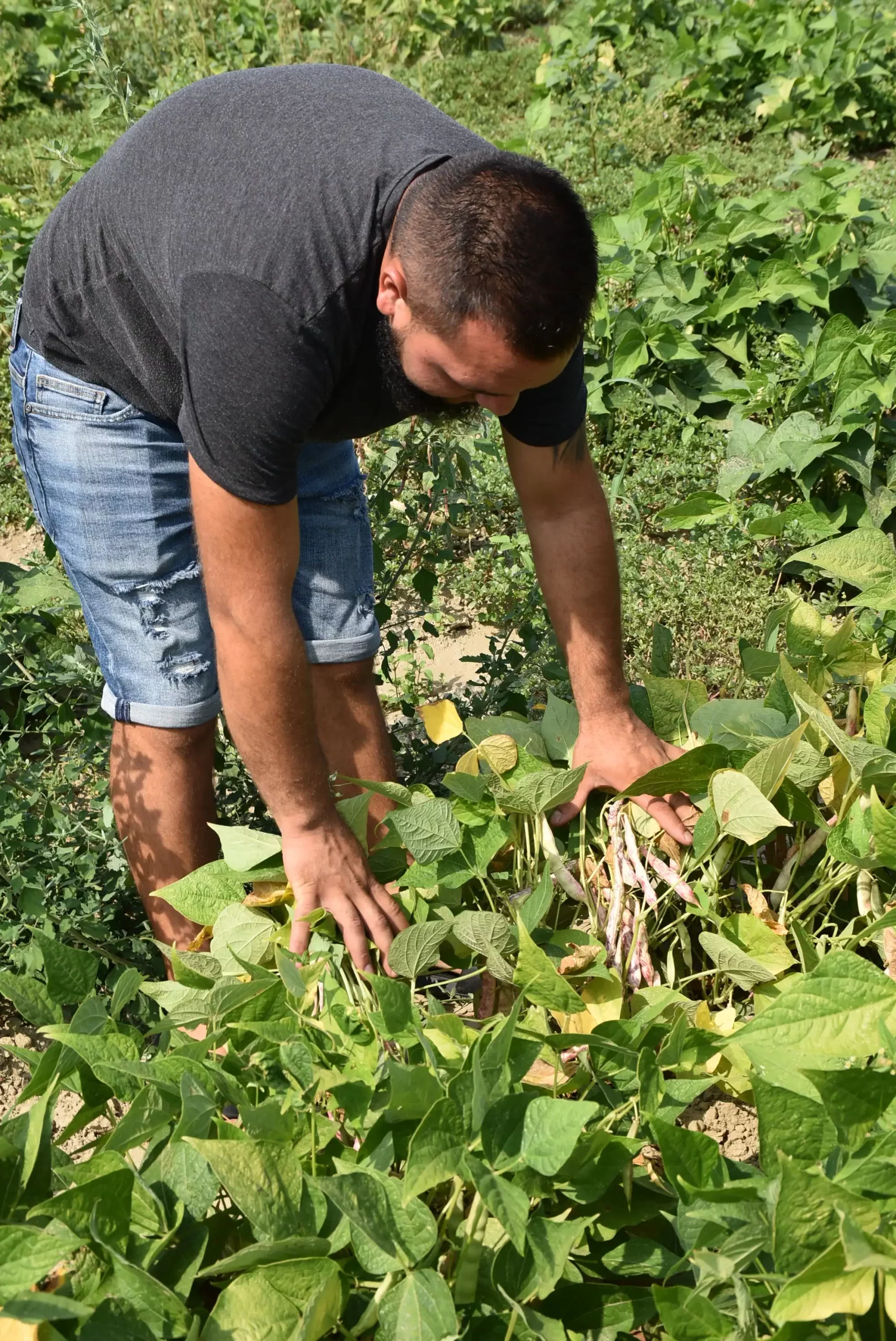 Velibor Balog (19) Velibor Balog (19)