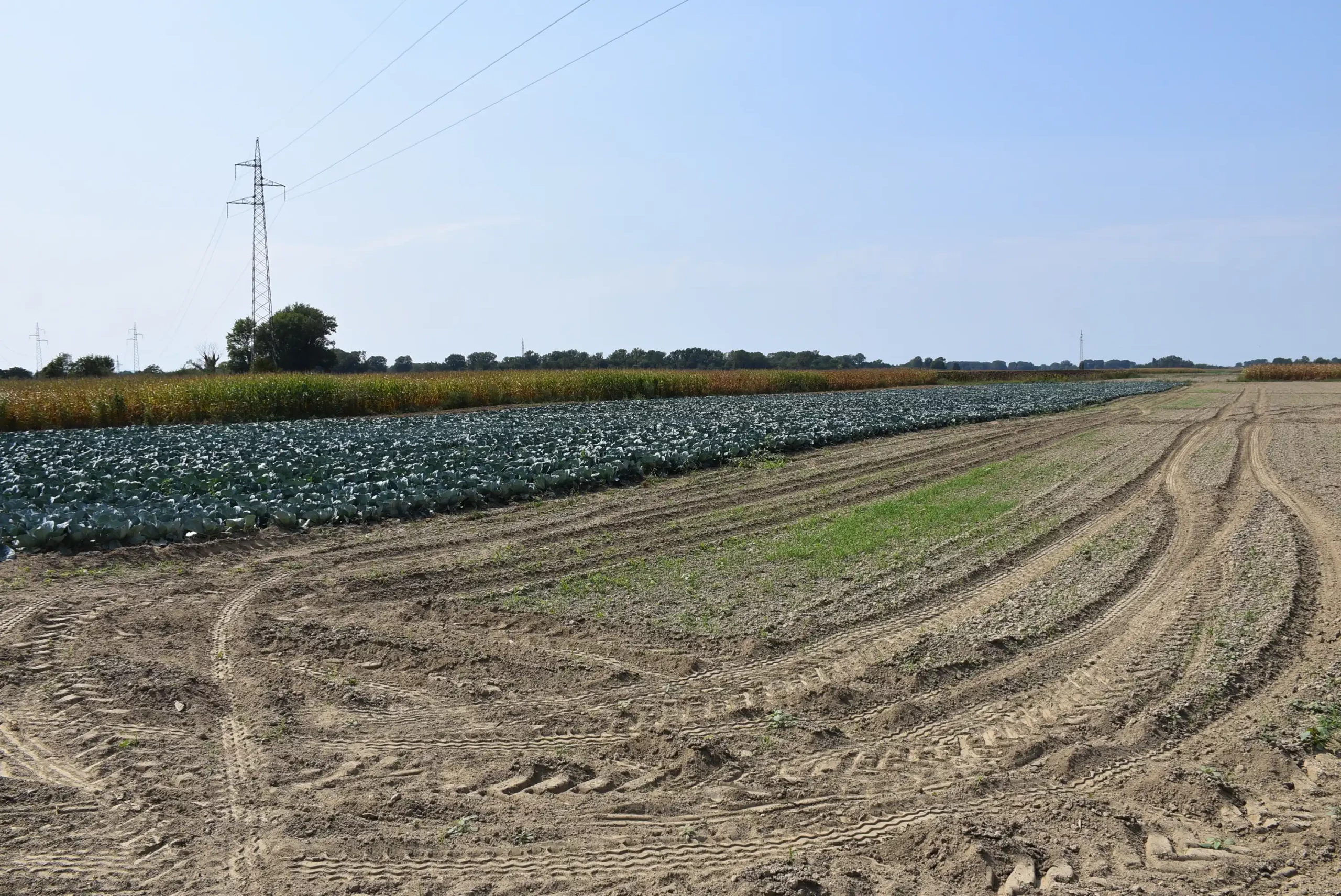 Velibor Balog (21) Velibor Balog (21)