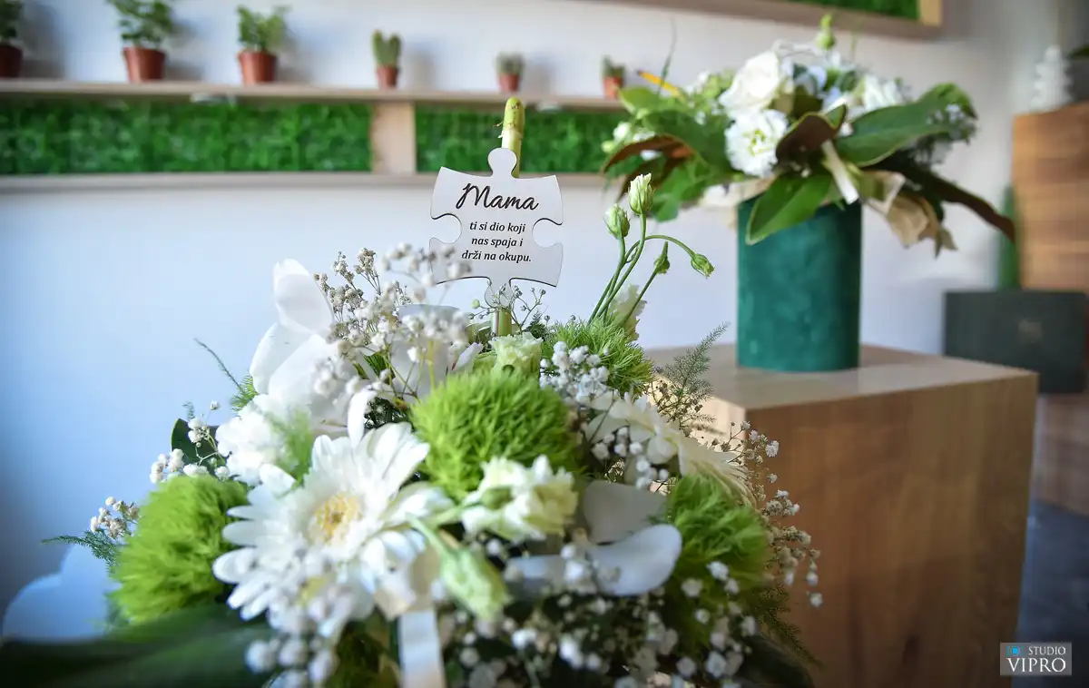 Veronica Cenko – Prelog (5)