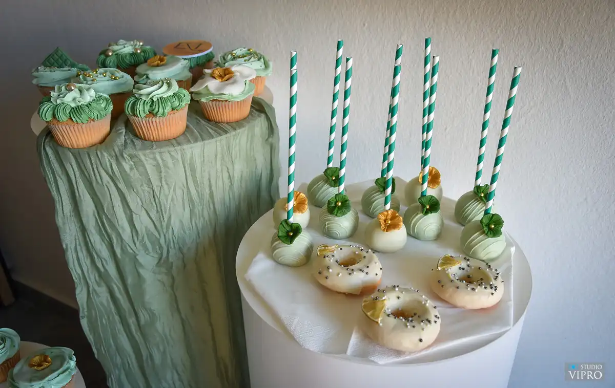 Veronica Cenko – Prelog (8)