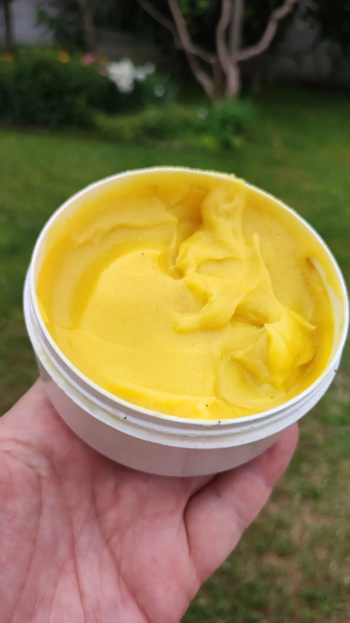 Veronika Živolić,vrt (25)