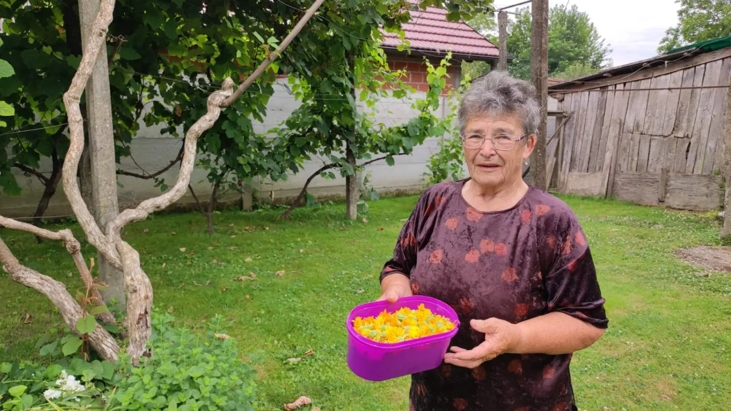 Veronika Živolić,vrt (4)