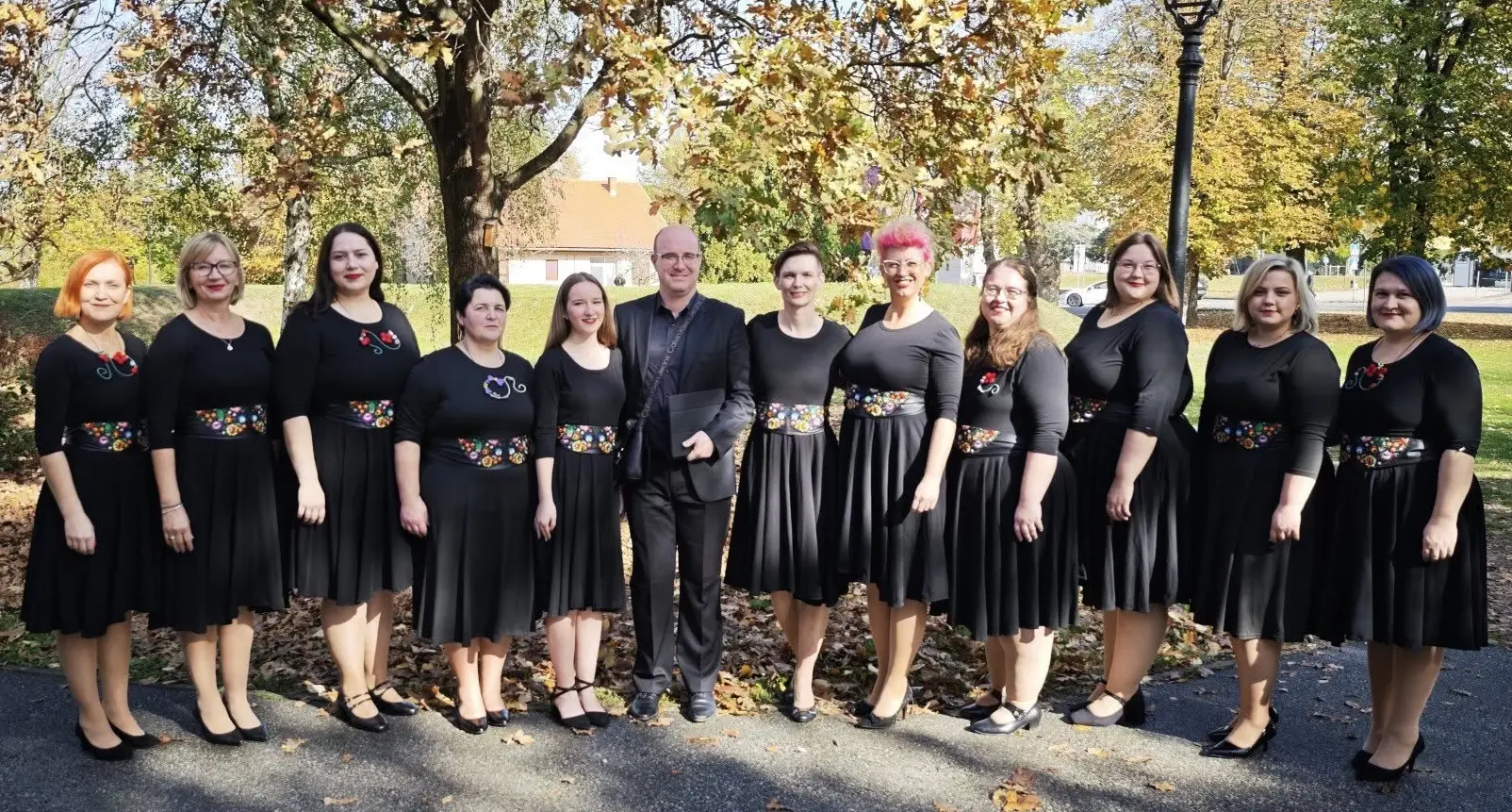 Veseli Međimurci (2) Veseli Međimurci (2)