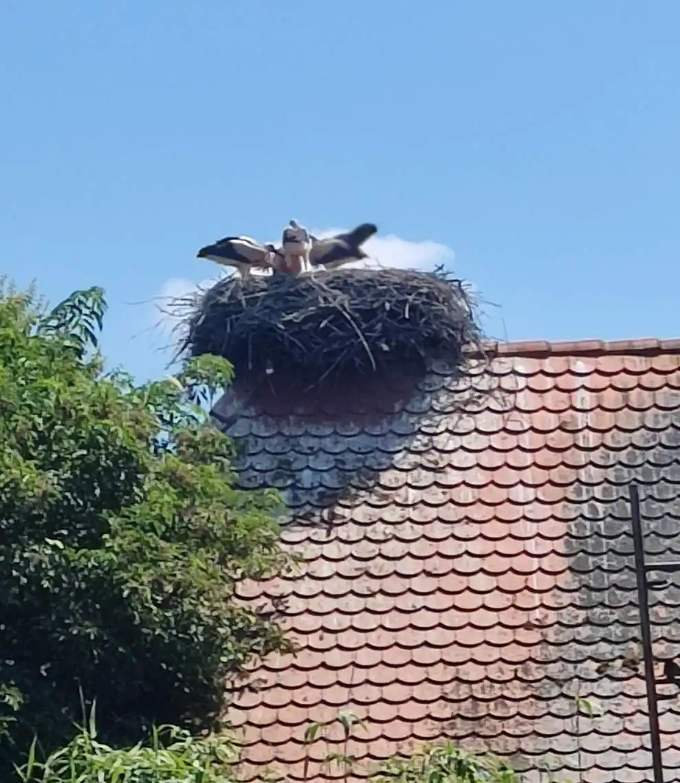 Veterani 34. inženjerijske bojne i Udruge Veteran posjetili Sunju i Lonjsko Polje (2)