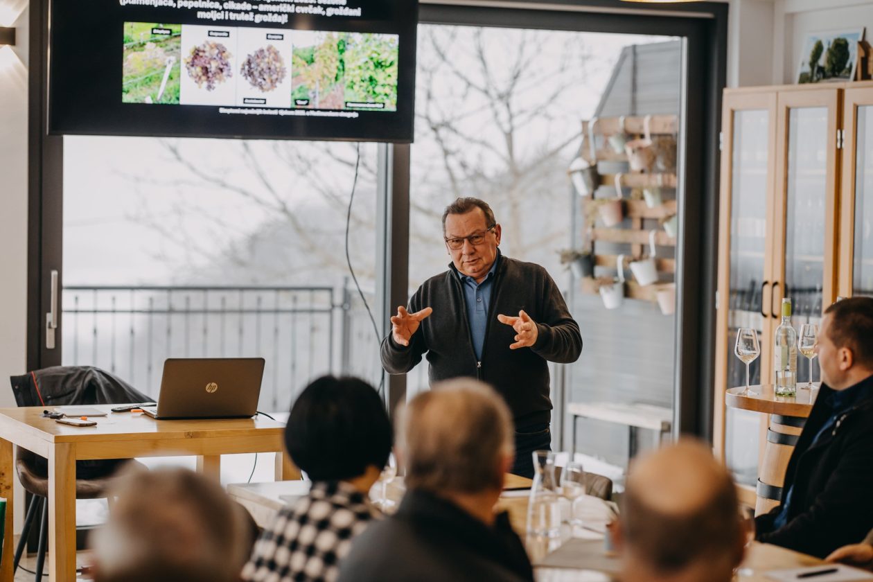 Vinarija Cmrečnjak 1