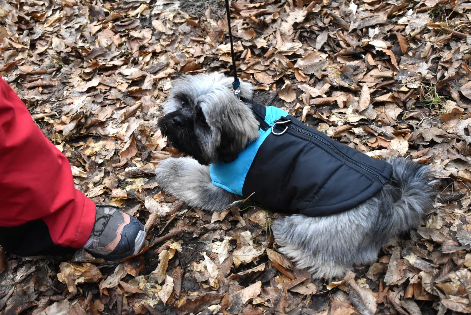 Vincekov pohod 2025., Pseće društvo, Sveti Martin, Mursko Središće (10)