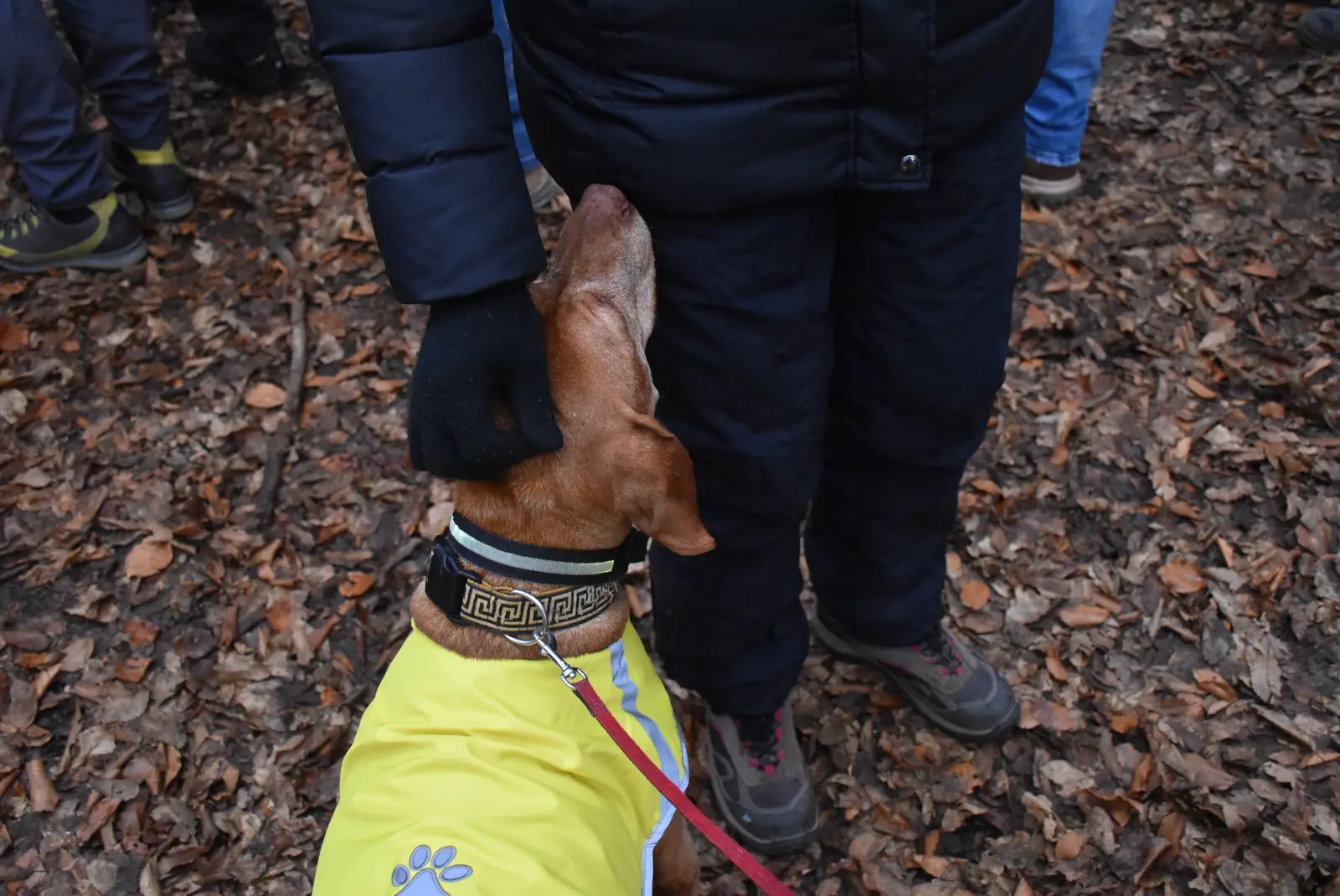 Vincekov pohod 2025., Pseće društvo, Sveti Martin, Mursko Središće (11)