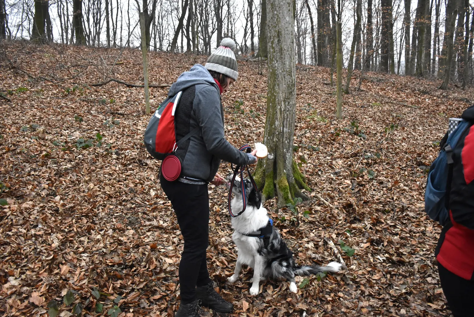 Vincekov pohod 2025., Pseće društvo, Sveti Martin, Mursko Središće (4)
