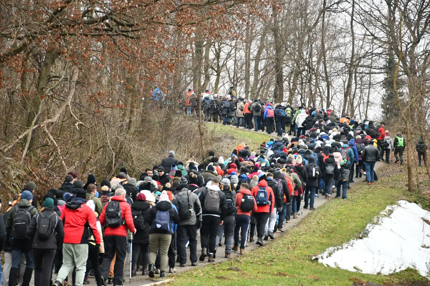 Vincekov pohod Štrigova 2025 (58) Vincekov pohod Štrigova 2025 (58)