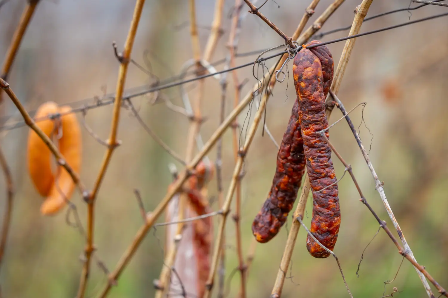 Vincekov pohod – Sv. Martin na Muri 42