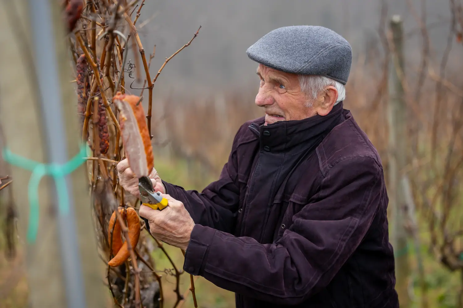 Vincekov pohod – Sv. Martin na Muri 54