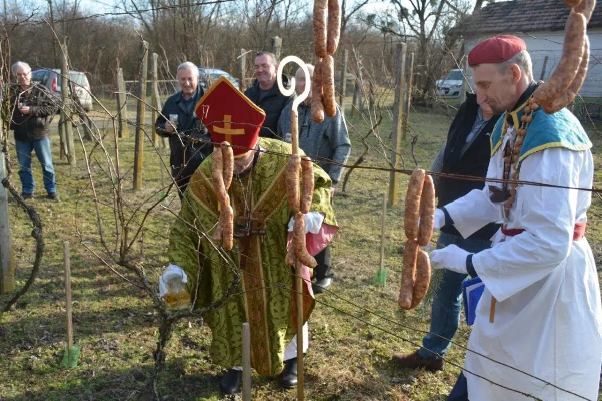 Vincekovo Donja Dubrava 2025 (21) Vincekovo Donja Dubrava 2025 (21)