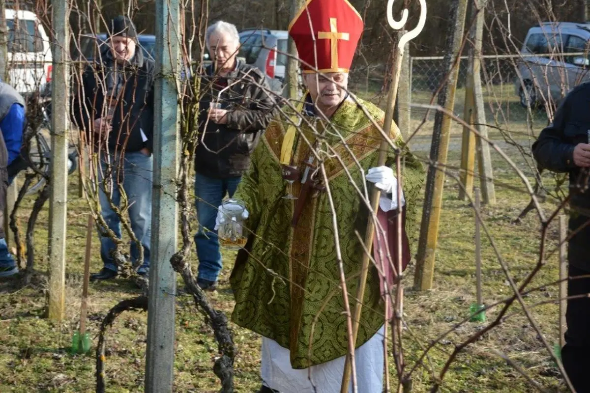 Vincekovo Donja Dubrava 2025 (22) Vincekovo Donja Dubrava 2025 (22)