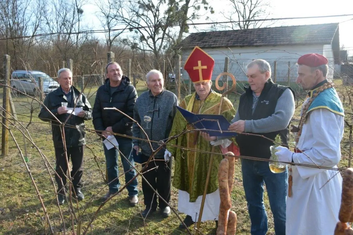 Vincekovo Donja Dubrava 2025 (23) Vincekovo Donja Dubrava 2025 (23)