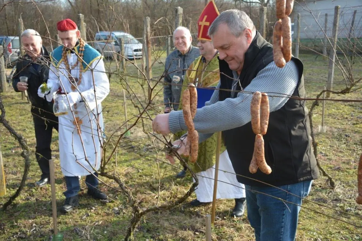 Vincekovo Donja Dubrava 2025 (27) Vincekovo Donja Dubrava 2025 (27)