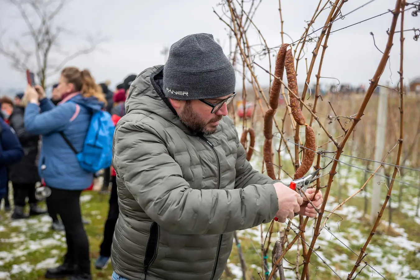 Vincekovo Štrigova 2025,Terca Art (44)