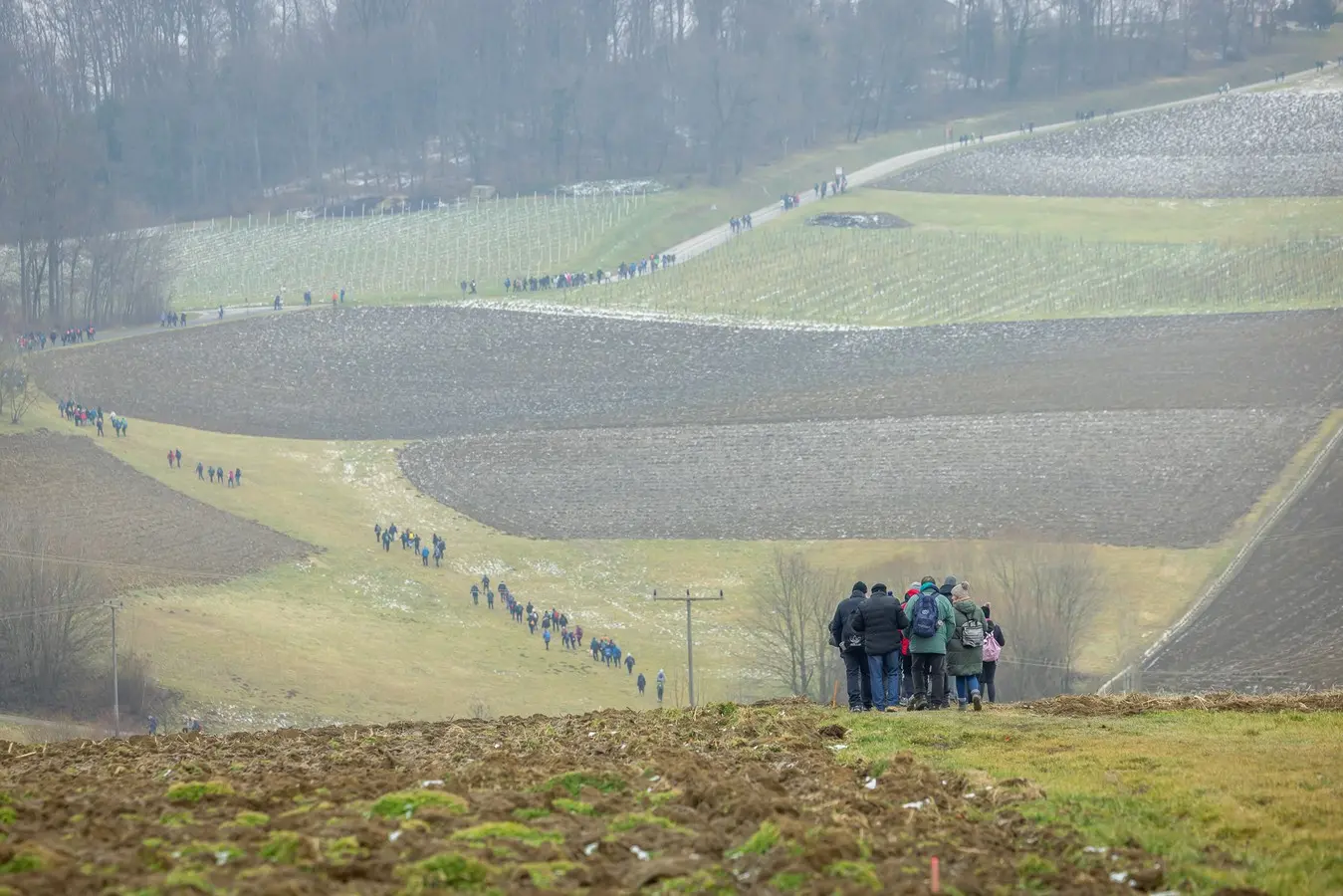 Vincekovo Štrigova 2025,Terca Art (66)