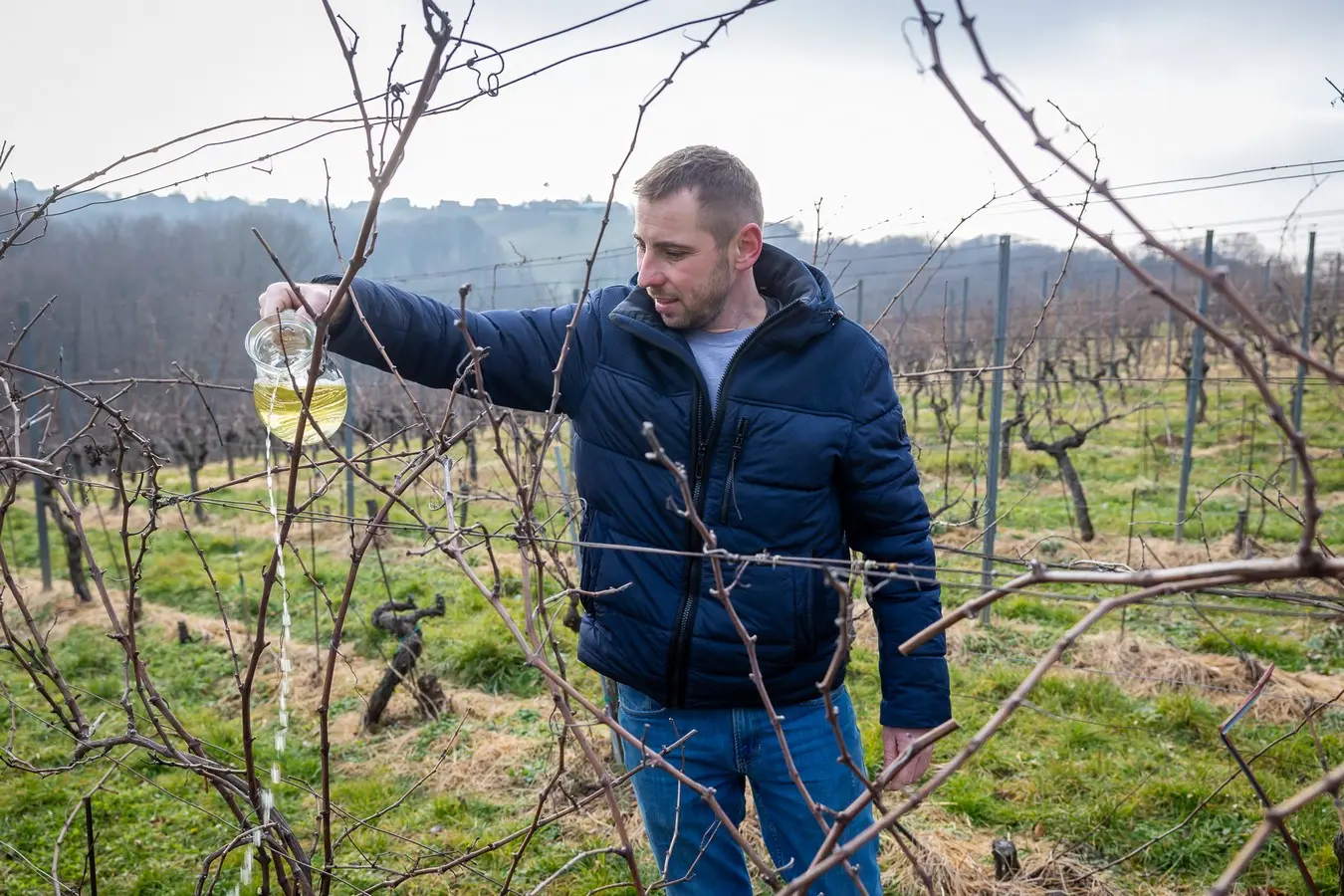 Vincekovo Štrigova 2025,Terca Art (90)