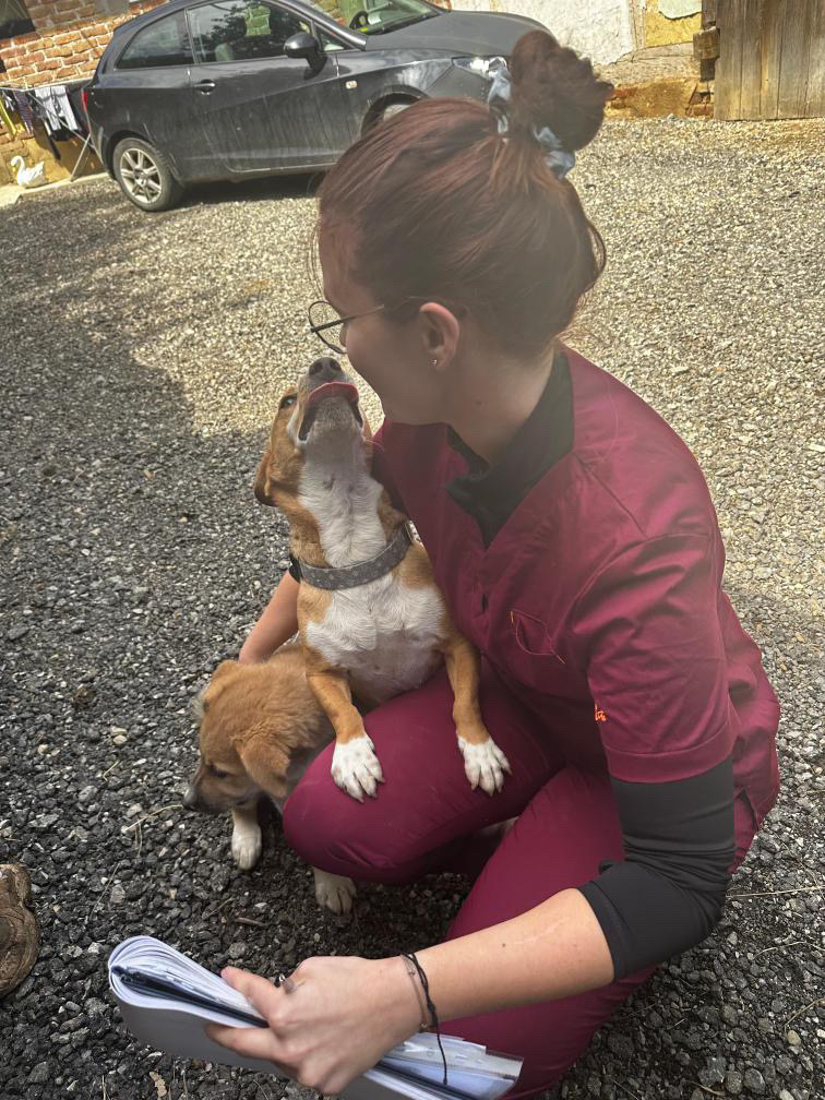 Vinka Holjevac veterinar (1) Vinka Holjevac veterinar (1)