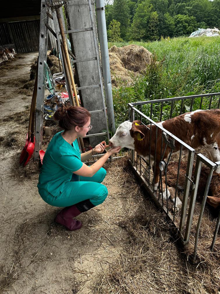 Vinka Holjevac veterinar (3) Vinka Holjevac veterinar (3)