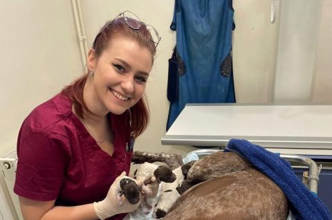 Vinka Holjevac veterinar (4) 22 Vinka Holjevac veterinar (4) 22