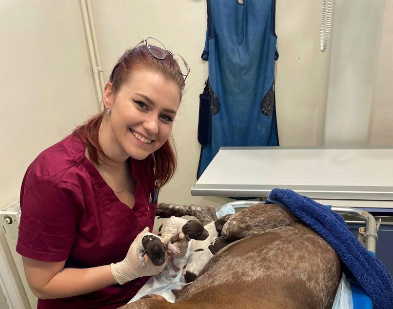 Vinka Holjevac veterinar (4) 22 Vinka Holjevac veterinar (4) 22