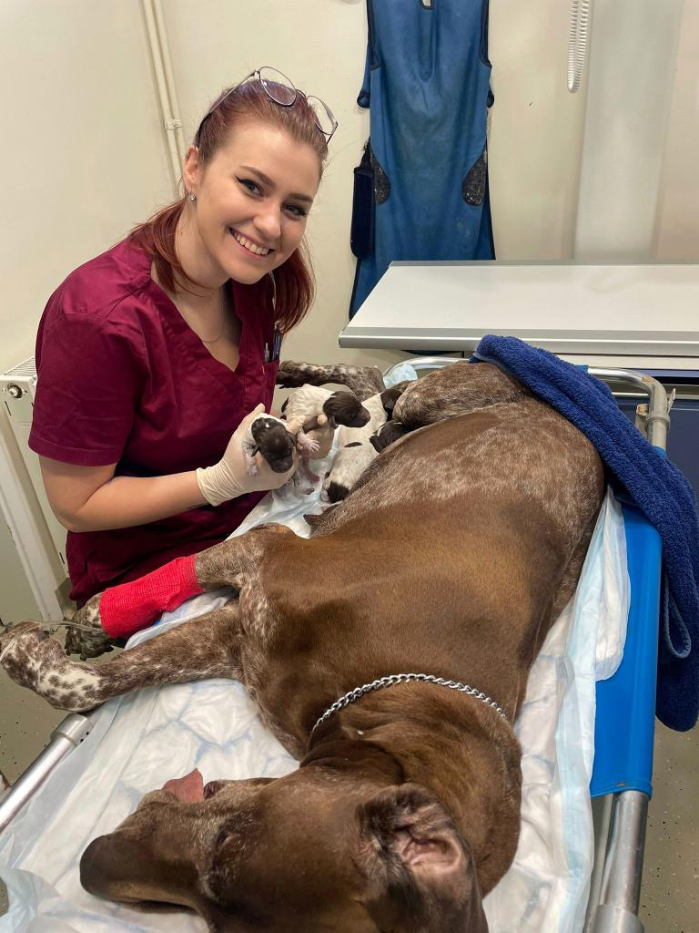 Vinka Holjevac veterinar (4) Vinka Holjevac veterinar (4)