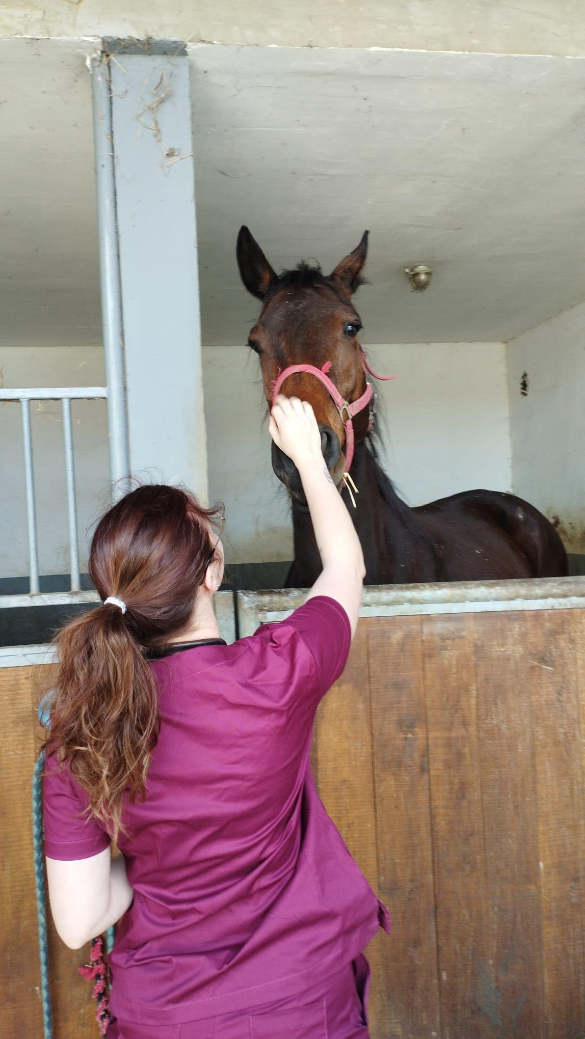 Vinka Holjevac veterinar (6) Vinka Holjevac veterinar (6)