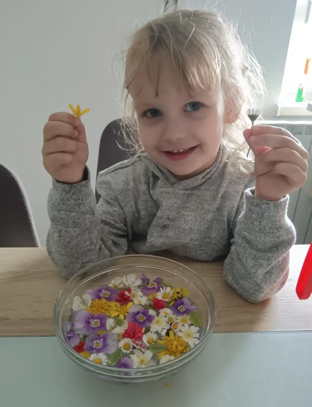 Vita, palinovec,cvjetnica (1)