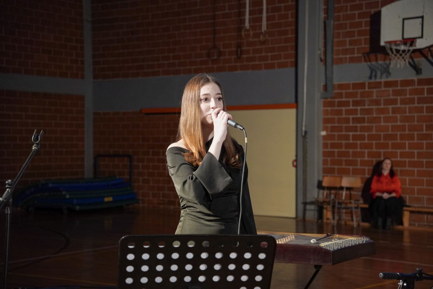 Vitomira Turk pjevačica (5)