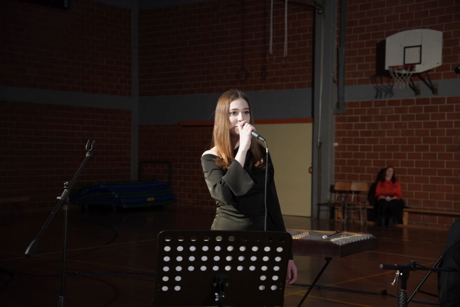 Vitomira Turk pjevačica (7)