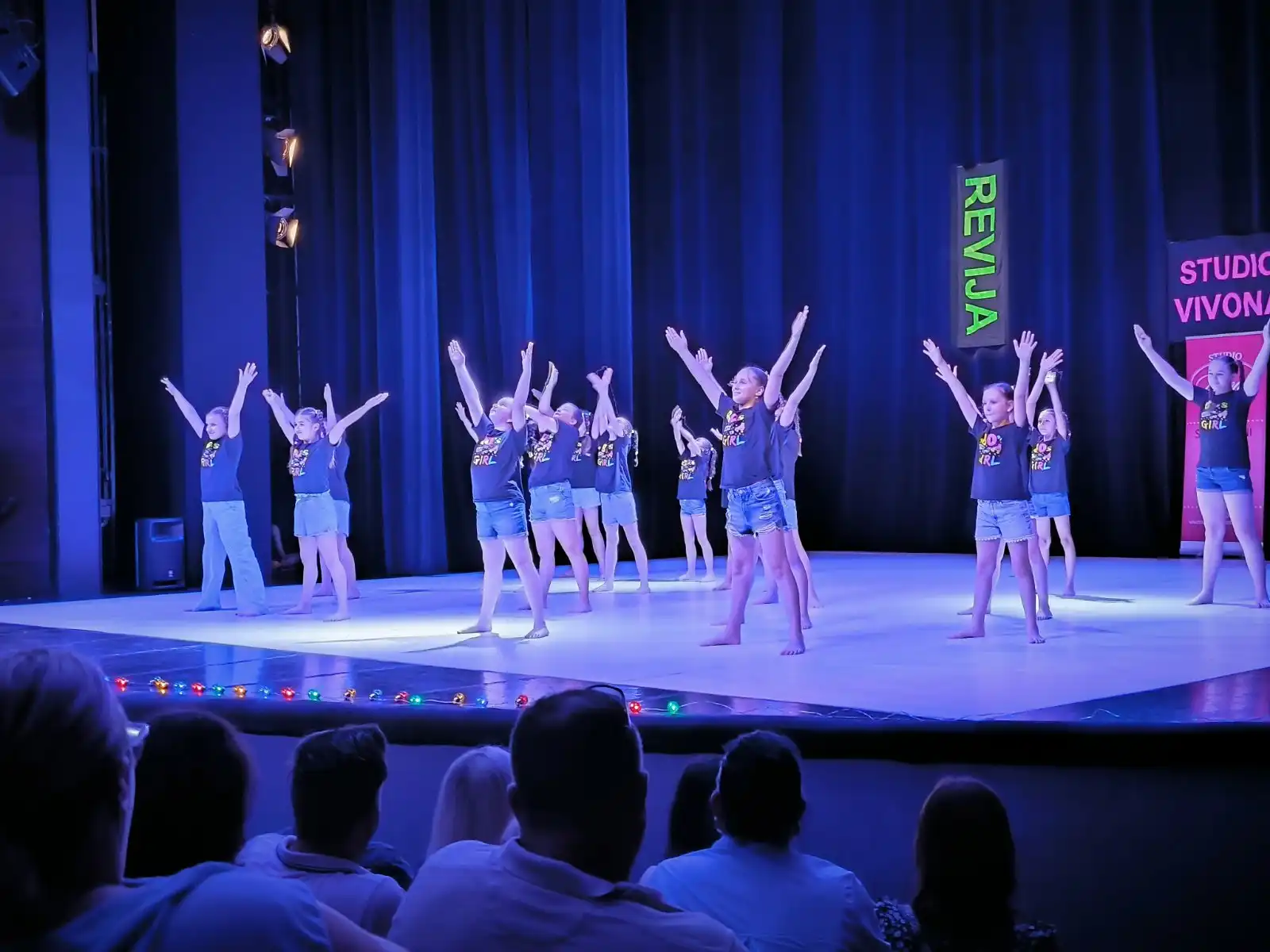 Vivona – revija plesa (9) Vivona – revija plesa (9)