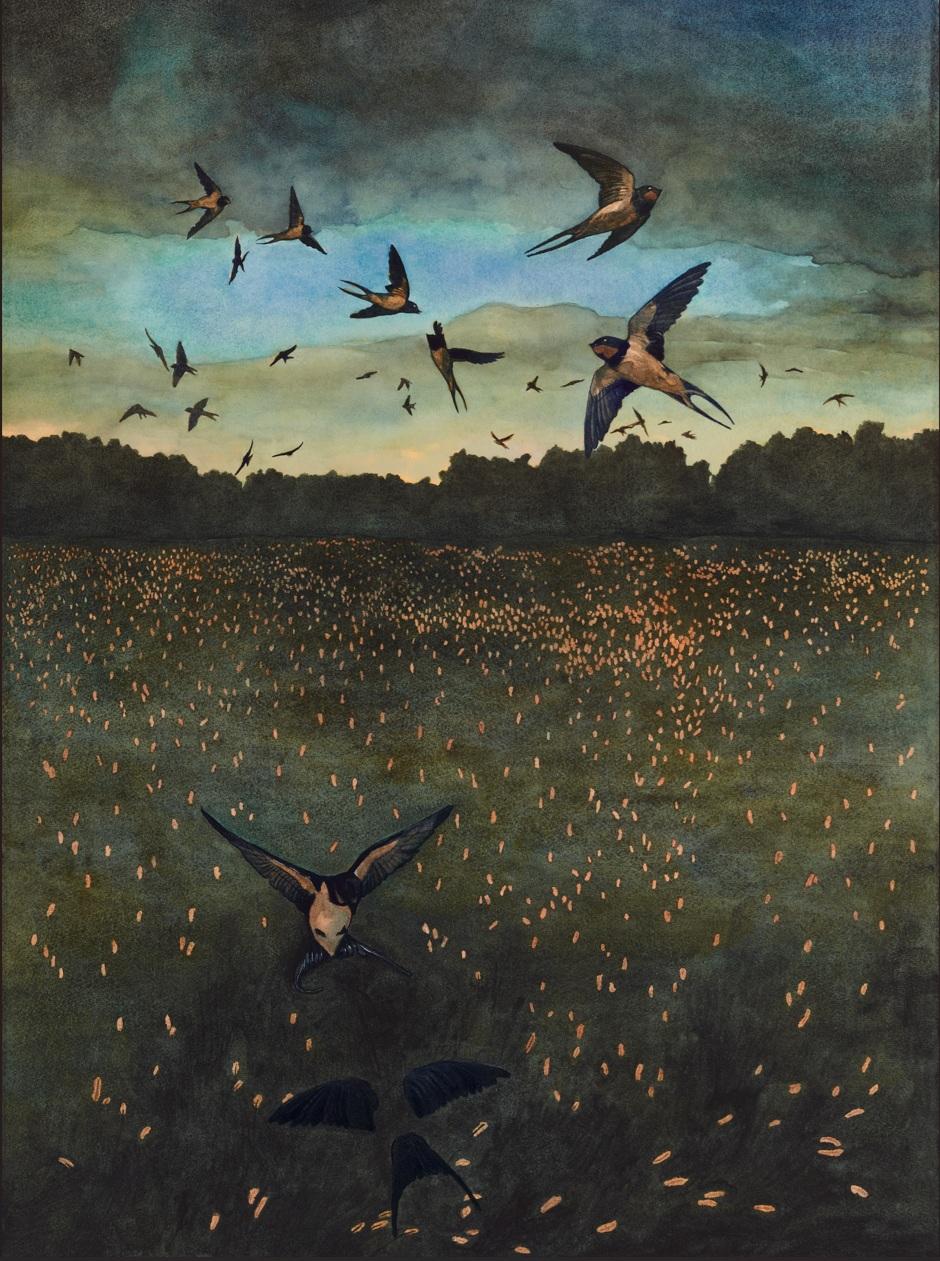 Vizual_smanjeno Vizual_smanjeno