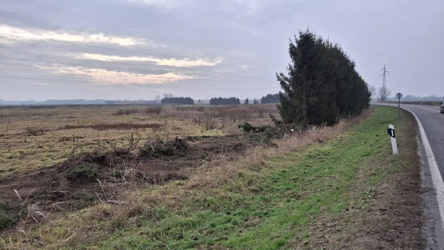 Vizura Draškovca se (opet) promijenila – u dva dana nestao drvored na ulazu u naselje (3) Vizura Draškovca se (opet) promijenila – u dva dana nestao drvored na ulazu u naselje (3)