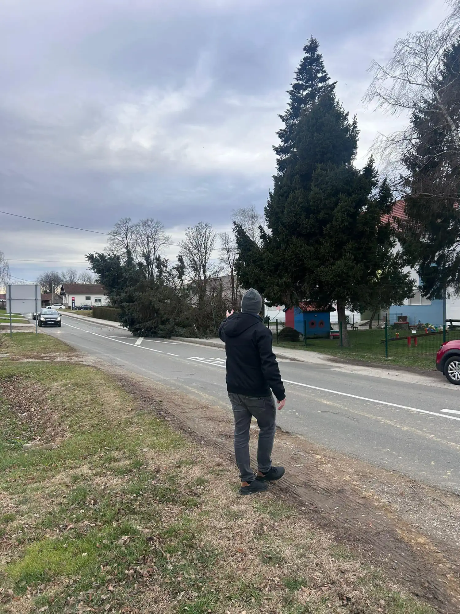 Vjetar u Sivici srušio drvo (2) Vjetar u Sivici srušio drvo (2)